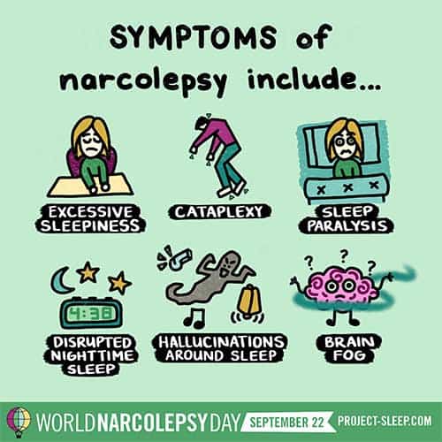 Symptoms of narcolepsy include